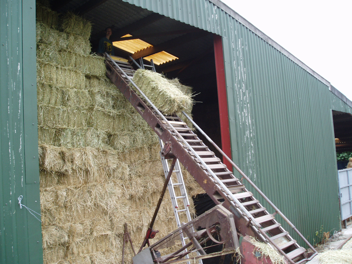 Stacking Hay in the Barn